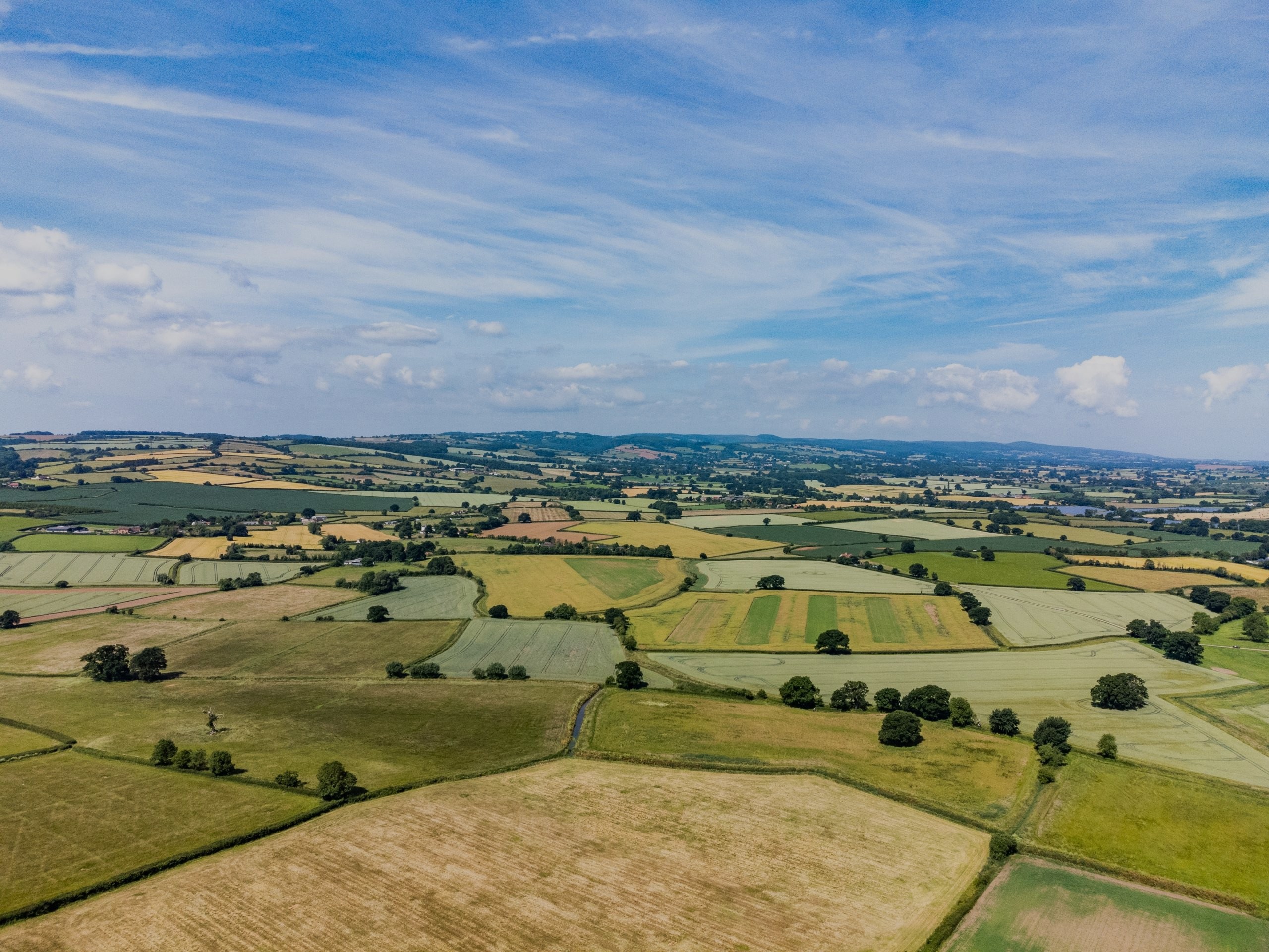 Free land valuation